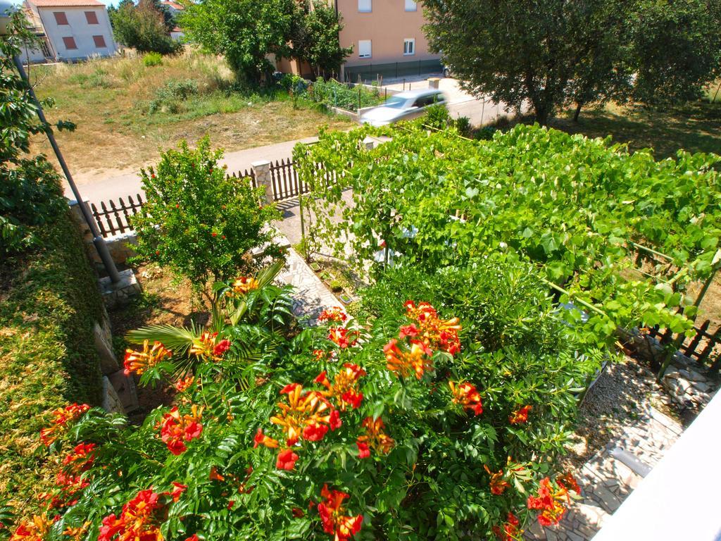 Apartments Zlatko 1397 Štinjan المظهر الخارجي الصورة